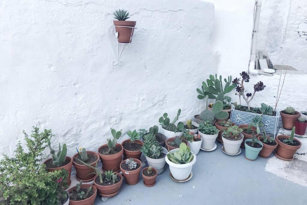 Little Cactus Villa Serifos Town Exteriör bild
